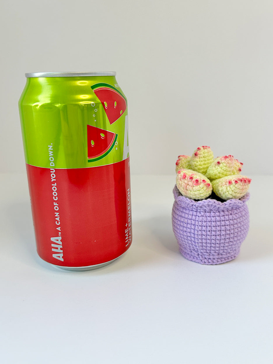 Finished Crochet flower in pot | Succulents | Home Room, Office, Car Decoration | Gift