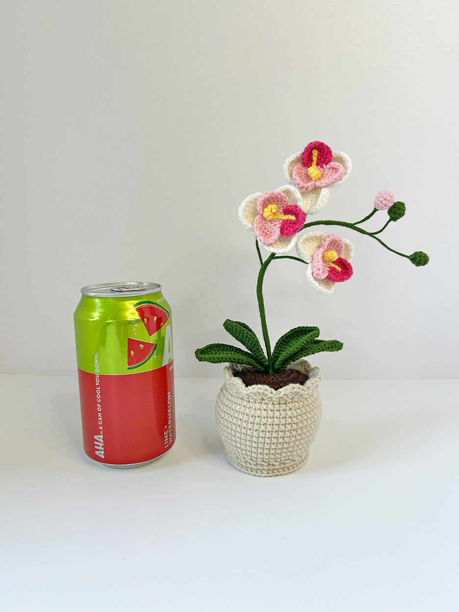 Finished Crochet flower in pot | Moth orchids | Home Room, Office, Car Decoration | Gift