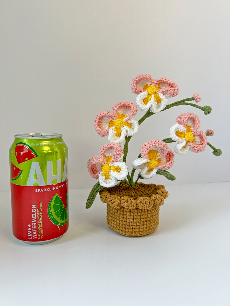 Finished Crochet flower in pot | 5-head Moth orchids | Home Room, Office, Car Decoration | Gift