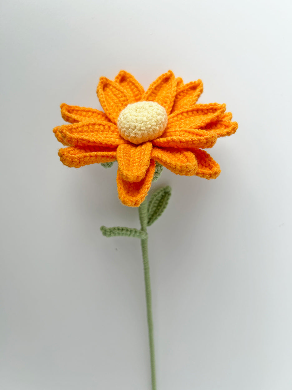 Finished Crochet oxeye daisy|Crochet Flower Bouquet