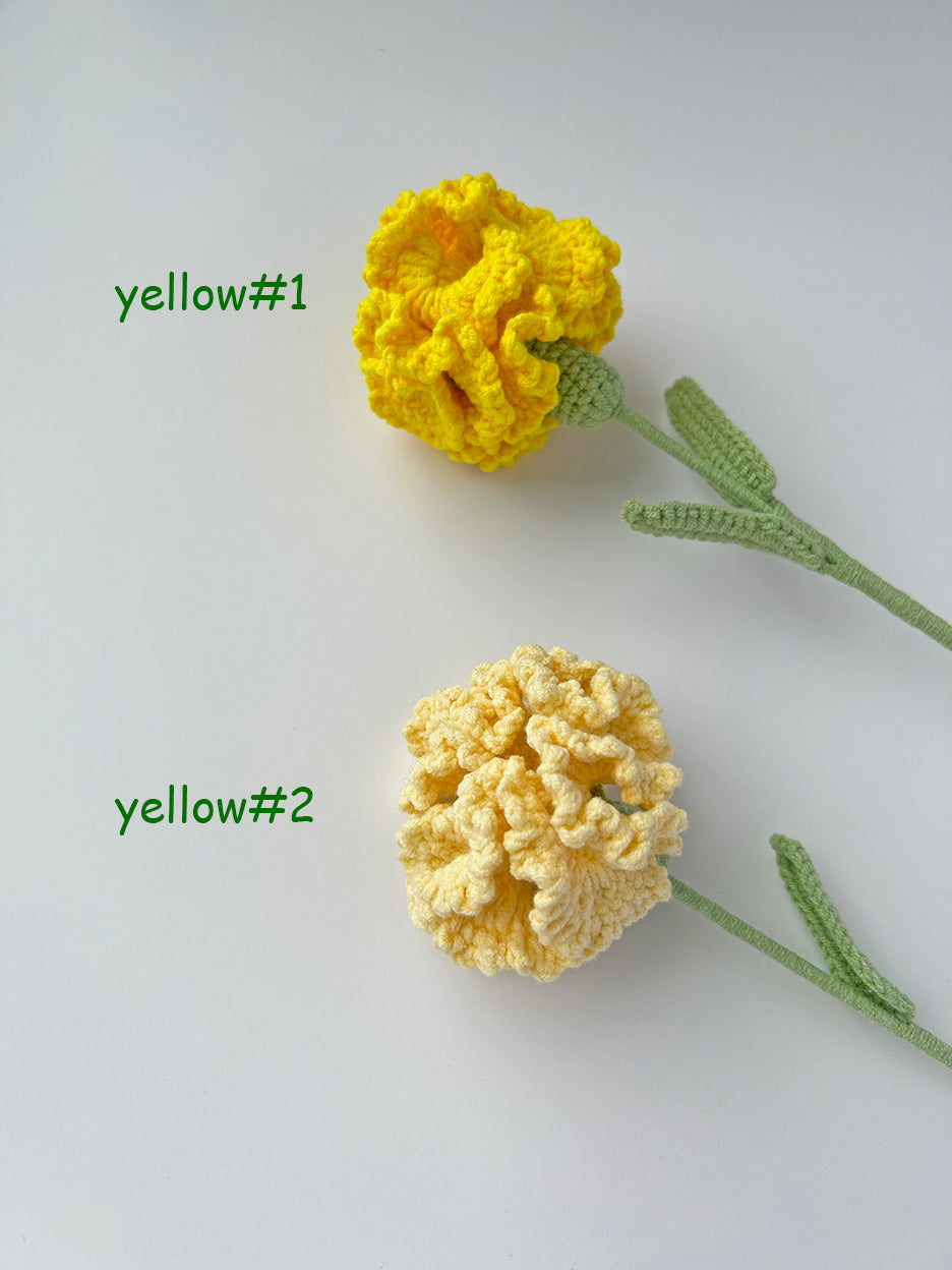 Finished Crochet Carnation|Crochet Flower Bouquet