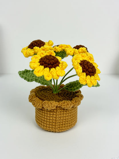 Finished crochet multi-head daisy in pot. High quality yarn flowers. Unique handmade gift for her.