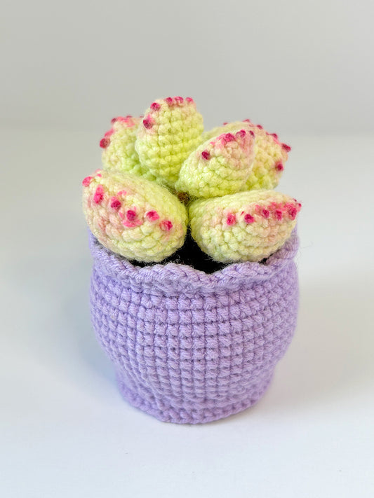 Finished Crochet flower in pot | Succulents | Home Room, Office, Car Decoration | Gift