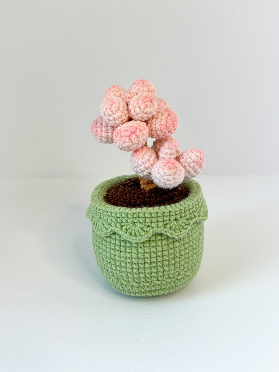 Finished Crochet flower in pot | Pink Succulents | Home Room, Office, Car Decoration | Gift