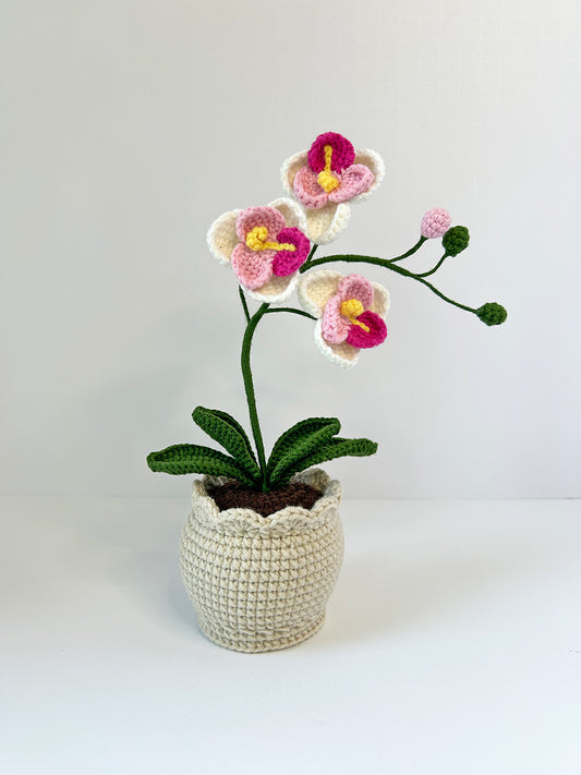Finished Crochet flower in pot | Moth orchids | Home Room, Office, Car Decoration | Gift