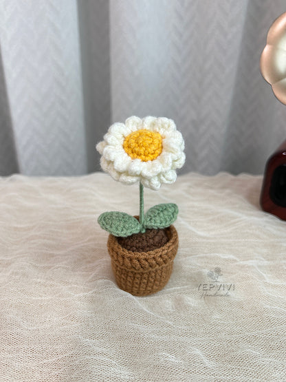 Finished Crochet flower in pot | small flower in pot | Home Room, Office, Car Decoration | Gift